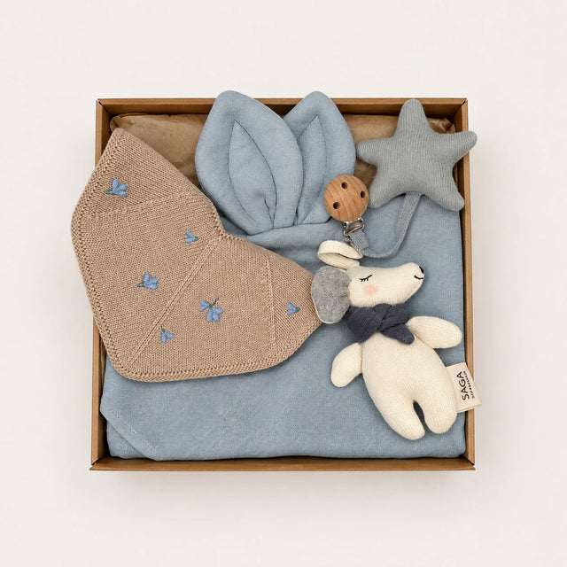 giftbox beebile baby blue dream